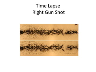 Time Lapse 
Right Gun Shot 
 