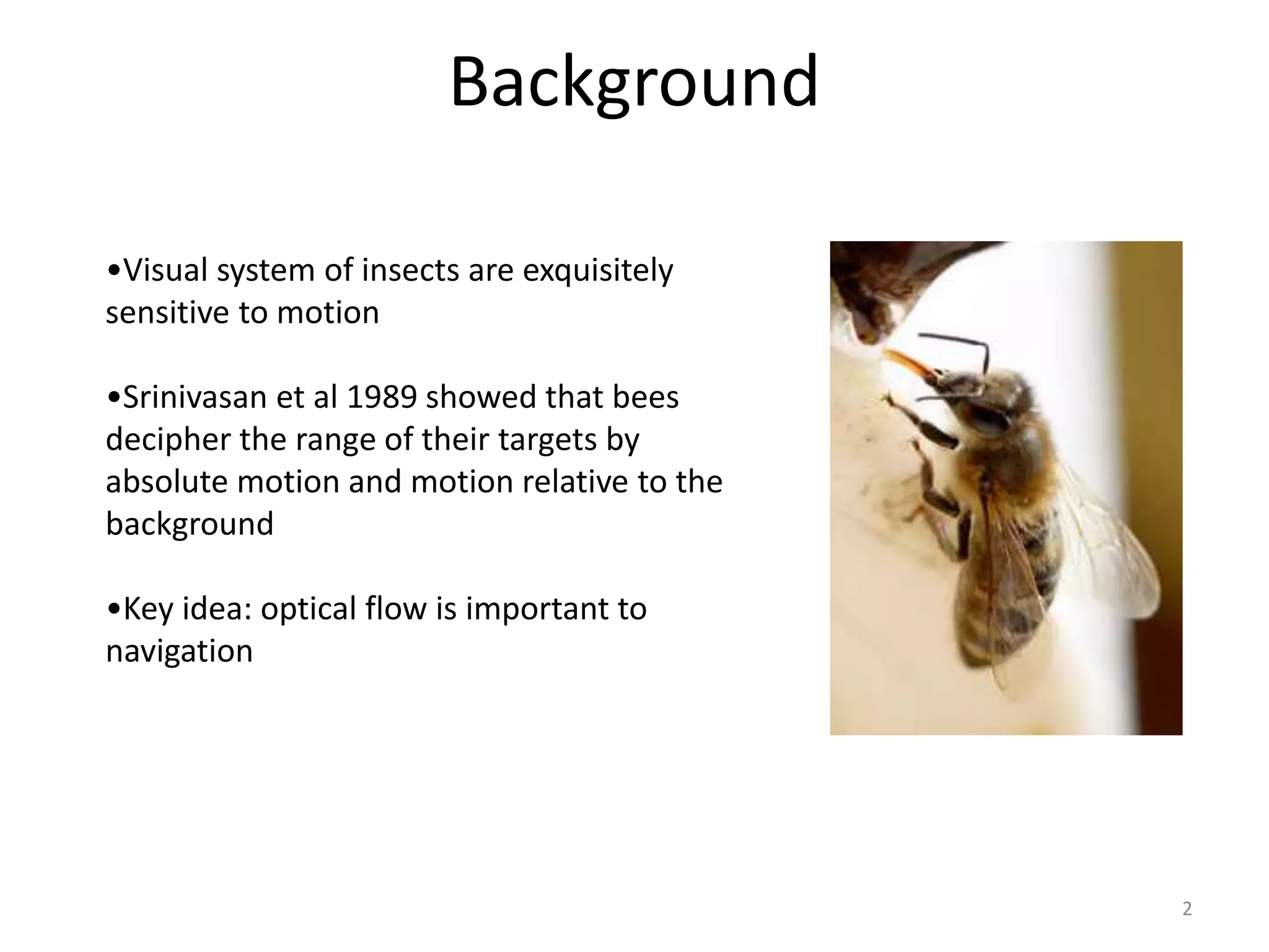 Background
2
•Visual system of insects are exquisitely
sensitive to motion
•Srinivasan et al 1989 showed that bees
decipher the range of their targets by
absolute motion and motion relative to the
background
•Key idea: optical flow is important to
navigation
 