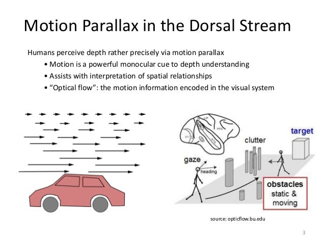 motion parallax provides depth cues based on... coursehero motion parallax provides depth cues based on... coursehero