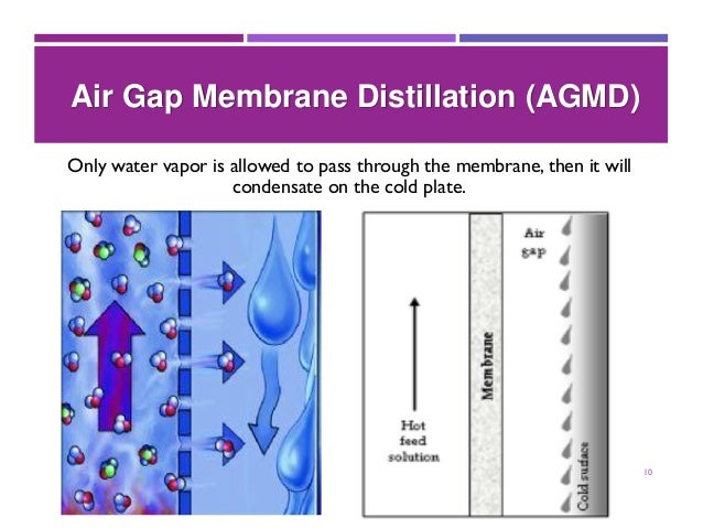 Water vapor membrane image