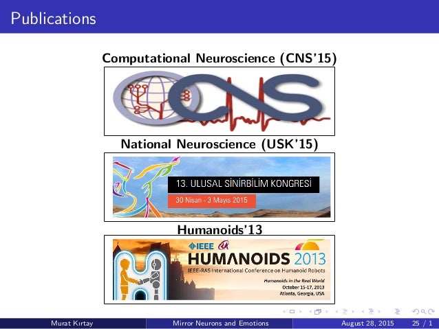 Mirror neurons picture