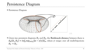 Topological Data Analysis and Persistent Homology | PDF