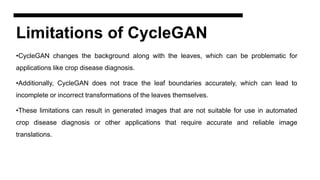 Limitations of CycleGAN
•CycleGAN changes the background along with the leaves, which can be problematic for
applications like crop disease diagnosis.
•Additionally, CycleGAN does not trace the leaf boundaries accurately, which can lead to
incomplete or incorrect transformations of the leaves themselves.
•These limitations can result in generated images that are not suitable for use in automated
crop disease diagnosis or other applications that require accurate and reliable image
translations.
 