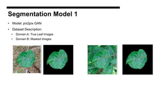 Segmentation Model 1
• Model: pix2pix GAN
• Dataset Description:
• Domain A: True Leaf Images
• Domain B: Masked Images
 