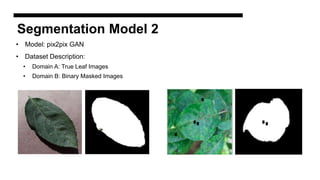 Segmentation Model 2
• Model: pix2pix GAN
• Dataset Description:
• Domain A: True Leaf Images
• Domain B: Binary Masked Images
 