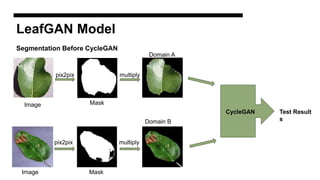 LeafGAN Model
Segmentation Before CycleGAN
pix2pix multiply
pix2pix multiply
Domain A
Domain B
CycleGAN Test Result
s
Image Mask
Mask​
Image​
 