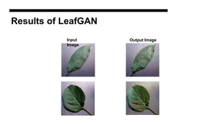 Results of LeafGAN
Input
Image
Output Image
 