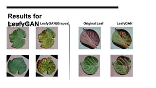 Results for
LeafyGAN
Original Leaf LeafyGAN(Grapes) Original Leaf LeafyGAN
(Potato)
 
