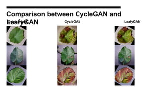 Comparison between CycleGAN and
LeafyGAN
Original leaf CycleGAN LeafyGAN
 