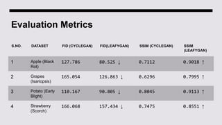 Evaluation Metrics
S.NO. DATASET FID (CYCLEGAN) FID(LEAFYGAN) SSIM (CYCLEGAN) SSIM
(LEAFYGAN)
1 Apple (Black
Rot)
127.786 80.525 ↓ 0.7112 0.9018 ↑
2 Grapes
(Isariopsis)
165.054 126.863 ↓ 0.6296 0.7995 ↑
3 Potato (Early
Blight)
110.167 90.805 ↓ 0.8045 0.9113 ↑
4 Strawberry
(Scorch)
166.068 157.434 ↓ 0.7475 0.8551 ↑
 