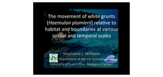The	
  movement	
  of	
  white	
  grunts	
  
 (Haemulon	
  plumierii)	
  rela5ve	
  to	
  
habitat	
  and	
  boundaries	
  at	
  various	
  
    spa5al	
  and	
  temporal	
  scales	
  


               Stephanie	
  J.	
  Williams	
  
         Department	
  of	
  Marine	
  Sciences	
  
   University	
  of	
  Puerto	
  Rico,	
  Mayagüez	
  Campus	
  
 