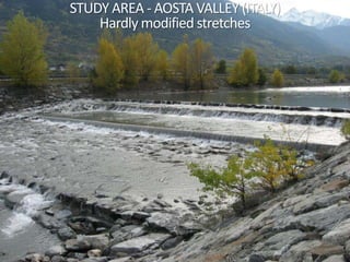 STUDY AREA - AOSTA VALLEY (ITALY)
Hardly modified stretches
 