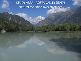 STUDY AREA - AOSTA VALLEY (ITALY)
Natural condition river stretches
 