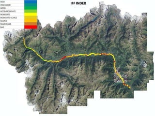 ResultsTH INDEXIFF INDEX
 