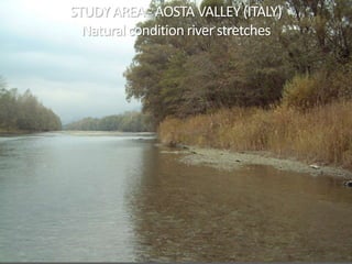 STUDY AREA - AOSTA VALLEY (ITALY)
Natural condition river stretches
 