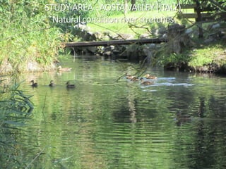 STUDY AREA - AOSTA VALLEY (ITALY)
Natural condition river stretches
 