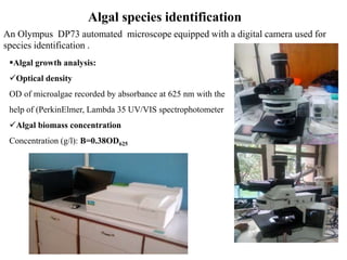 Algal species identification
An Olympus DP73 automated microscope equipped with a digital camera used for
species identification .
Algal growth analysis:
Optical density
OD of microalgae recorded by absorbance at 625 nm with the
help of (PerkinElmer, Lambda 35 UV/VIS spectrophotometer
Algal biomass concentration
Concentration (g/l): B=0.38OD625
 