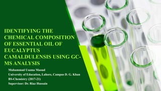 IDENTIFYING THE
CHEMICAL COMPOSITION
OF ESSENTIAL OIL OF
EUCALYPTUS
CAMALDULENSIS USING GC-
MS ANALYSIS
Muhammad Usama Maoud
University of Education, Lahore, Campus D. G. Khan
BS-Chemistry (2017-21)
Supervisor: Dr. Riaz Hussain
 