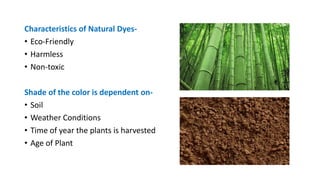 Characteristics of Natural Dyes-
• Eco-Friendly
• Harmless
• Non-toxic
Shade of the color is dependent on-
• Soil
• Weather Conditions
• Time of year the plants is harvested
• Age of Plant
 