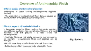 Overview of Antimicrobial Finish
Different aspects of antimicrobial protection-
•Pathogenic or odour causing microorganisms (hygiene
finishes).
• The protection of the textile itself from damage caused by
mould, mildew or rot producing microorganisms.
Fibrous aspects of bacterial attack -
• Substances added to fibres, such as lubricants, antistats,
natural-based auxiliaries (for example size, thickener and hand
modifiers) and dirt provide – a food source for
microorganisms.
• Synthetic fibres are not totally immune to microorganisms,
for example – polyurethane fibres and coatings can be
damaged
• Wool is more likely to suffer bacterial attack than cotton,
• Cotton is more likely than wool to be attacked by fungi.
Fig: Bacteria
 