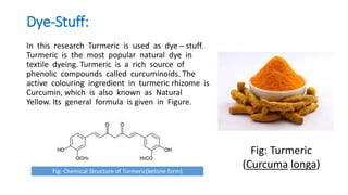 Dye-Stuff:
In this research Turmeric is used as dye – stuff.
Turmeric is the most popular natural dye in
textile dyeing. Turmeric is a rich source of
phenolic compounds called curcuminoids. The
active colouring ingredient in turmeric rhizome is
Curcumin, which is also known as Natural
Yellow. Its general formula is given in Figure.
Fig: Chemical Structure of Turmeric(ketone form)
Fig: Turmeric
(Curcuma longa)
 