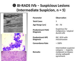 Thesis_Review_Presentation_Dr_Siddheshwar_LaddhaBIRADS.pptx
