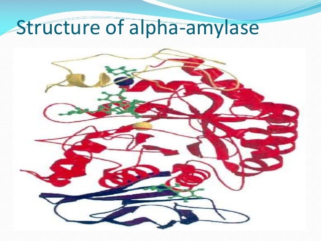 Amylase activity image