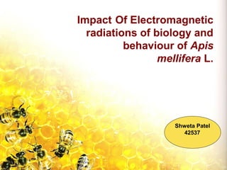 Impact Of Electromagnetic
radiations of biology and
behaviour of Apis
mellifera L.
Shweta Patel
42537
 