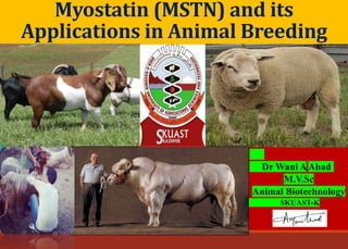 Myostatin (MSTN) and its
Applications in Animal Breeding
Dr Wani AAhad
M.V.Sc
Animal Biotechnology
SKUAST-K
 