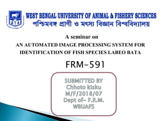 A seminar on
AN AUTOMATED IMAGE PROCESSING SYSTEM FOR
IDENTIFICATION OF FISH SPECIES LABEO BATA
FRM-591
 
