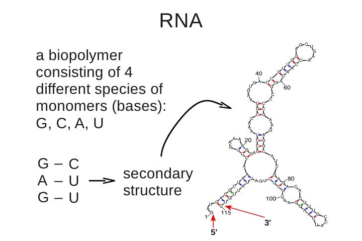 phd thesis on polymers