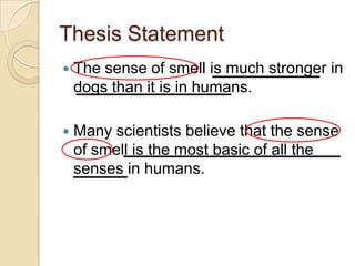 Thesis StatementThe sense of smell is much stronger in dogs than it is in humans.Many scientists believe that the sense of smell is the most basic of all the senses in humans.