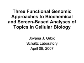 Three Functional Genomic Approaches to Biochemical and Screen-Based Analyses of Topics in Cellular Biology Jovana J. Grbi ć Schultz Laboratory April 09, 2007 