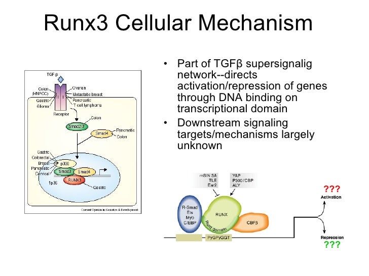 gastric cancer phd thesis gastric cancer phd thesis