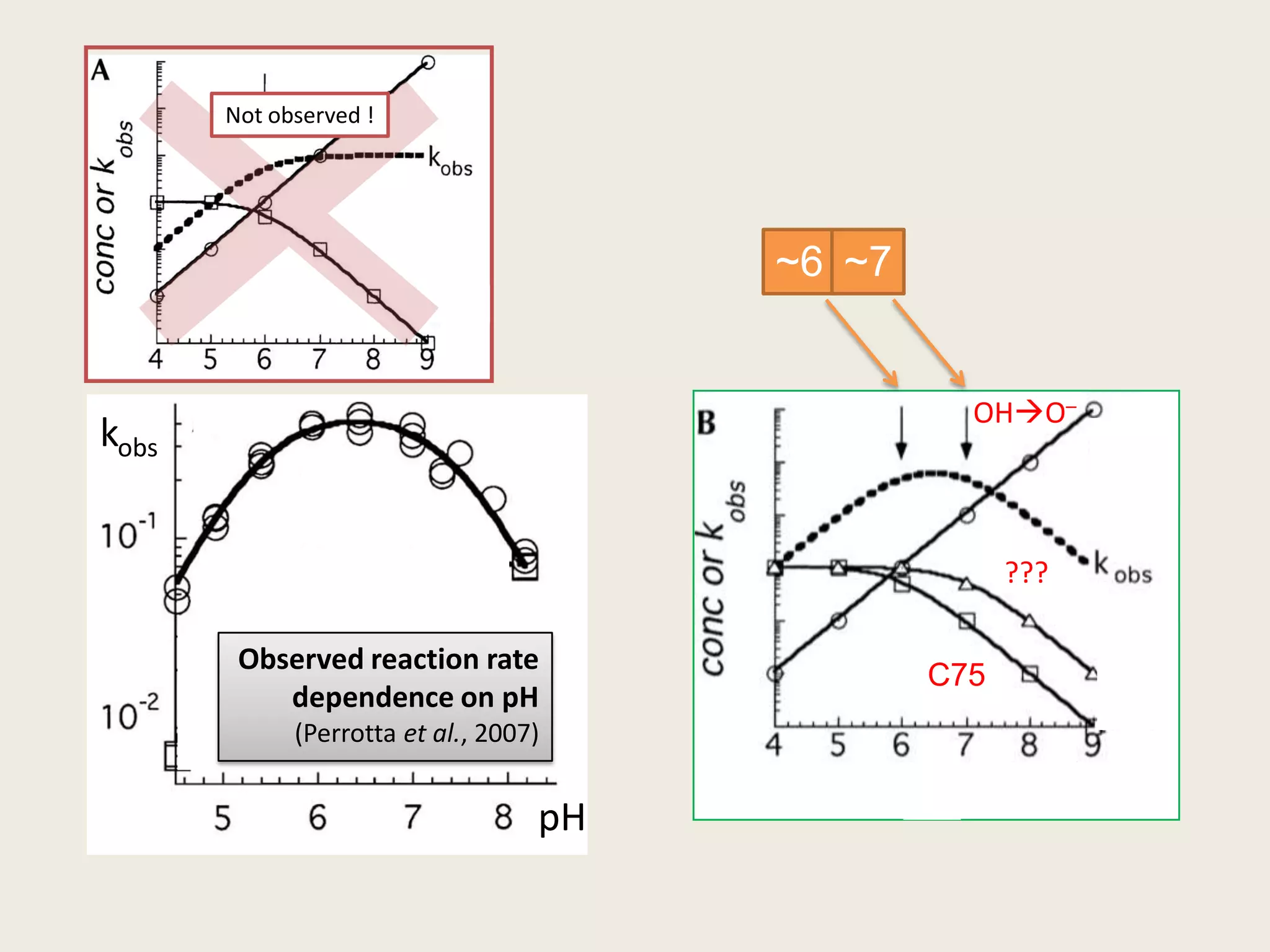 Not observed !~6~7kobs+ free OHO–pHObserved reaction rate dependence on pH(Perrottaet al., 2007)???C75