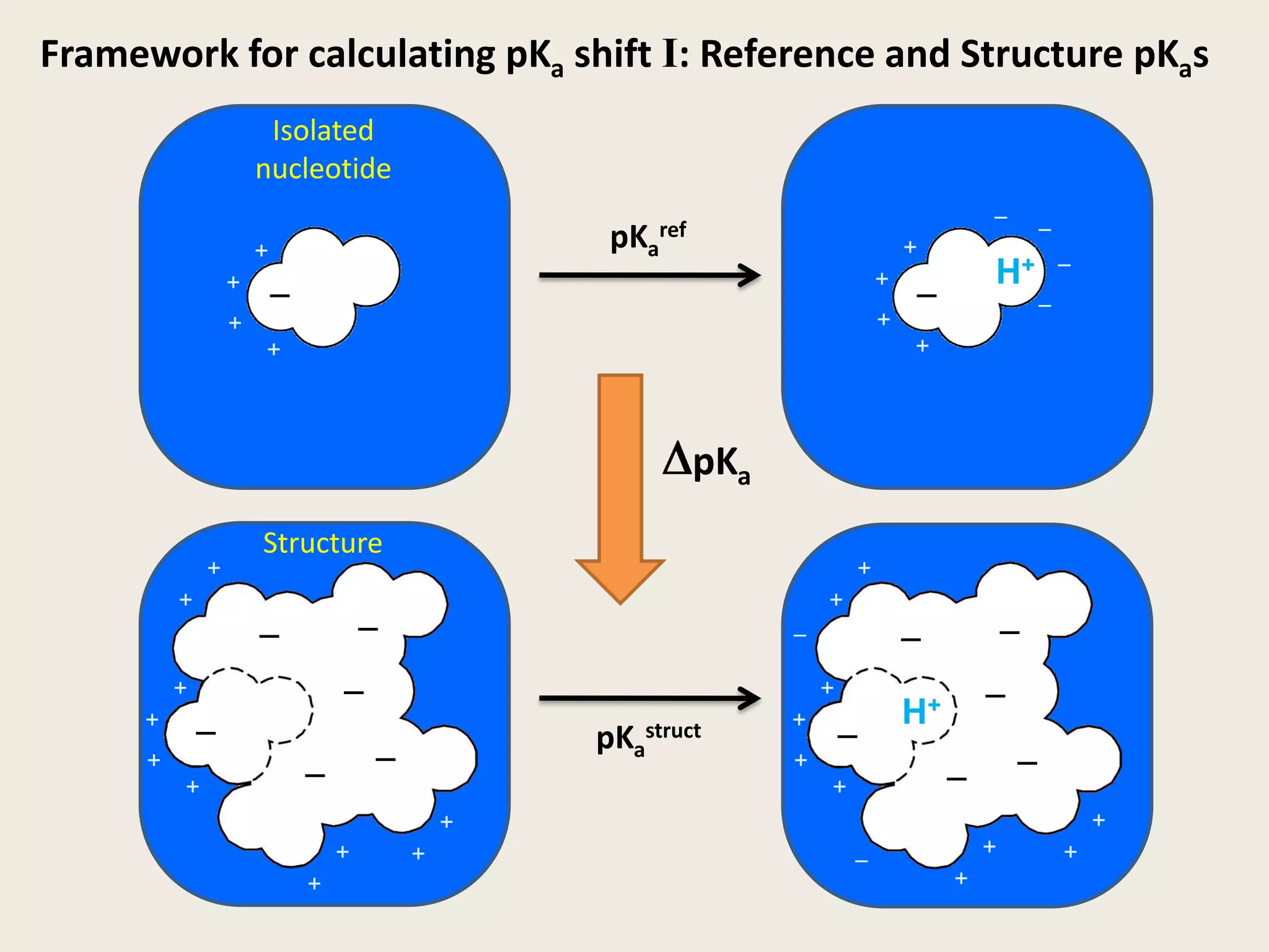 Framework for calculating pKa shift I: Reference and Structure pKas IsolatednucleotideH+H+––pKaref++–++–––++++DpKaStructure++++–––––––++++––pKastruct––++––++++++++–++