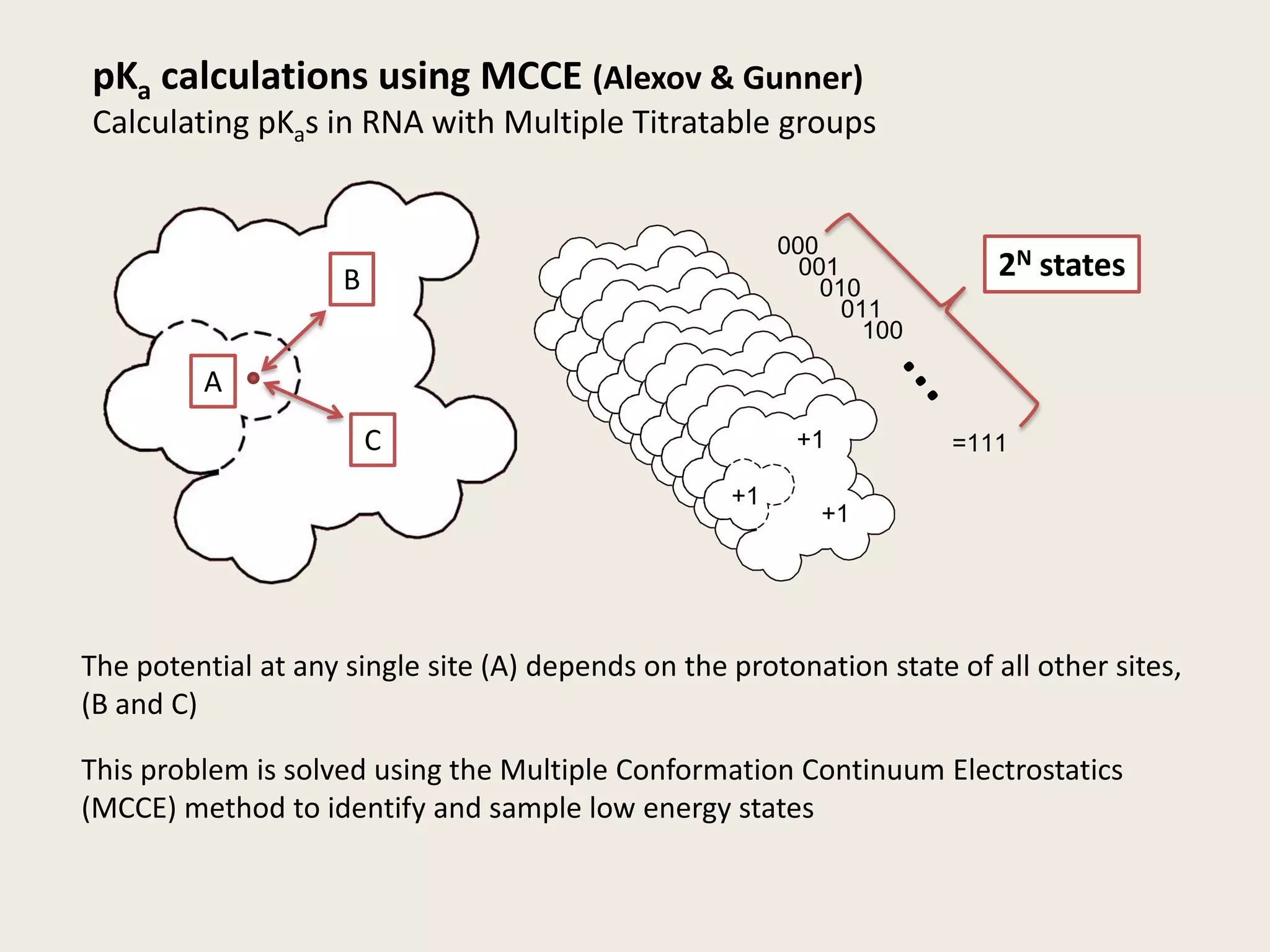 pKa calculations using MCCE (Alexov & Gunner)Calculating pKas in RNA with Multiple Titratable groups0002N states001B010011…100AC+1=111+1+1The potential at any single site (A) depends on the protonation state of all other sites, (B and C) This problem is solved using the Multiple Conformation Continuum Electrostatics (MCCE) method to identify and sample low energy states
