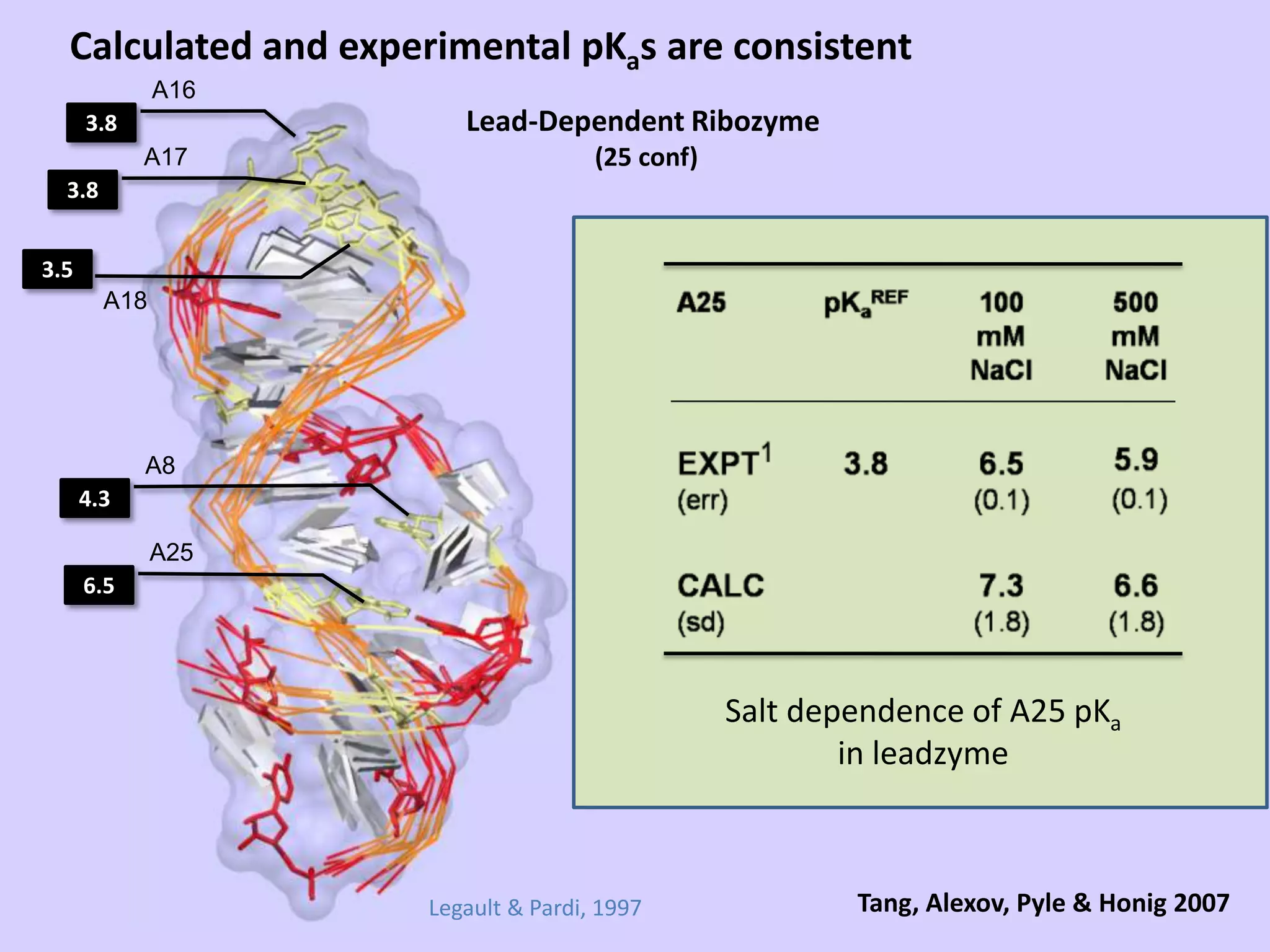 Calculated and experimental pKas are consistentA16Lead-Dependent Ribozyme (25 conf)3.8A173.83.5A18pKaA84.3A256.5A7A8A13A16A17A18A25Salt dependence of A25 pKain leadzymeLeadzymeBPHTang, Alexov, Pyle & Honig 2007Legault & Pardi, 1997