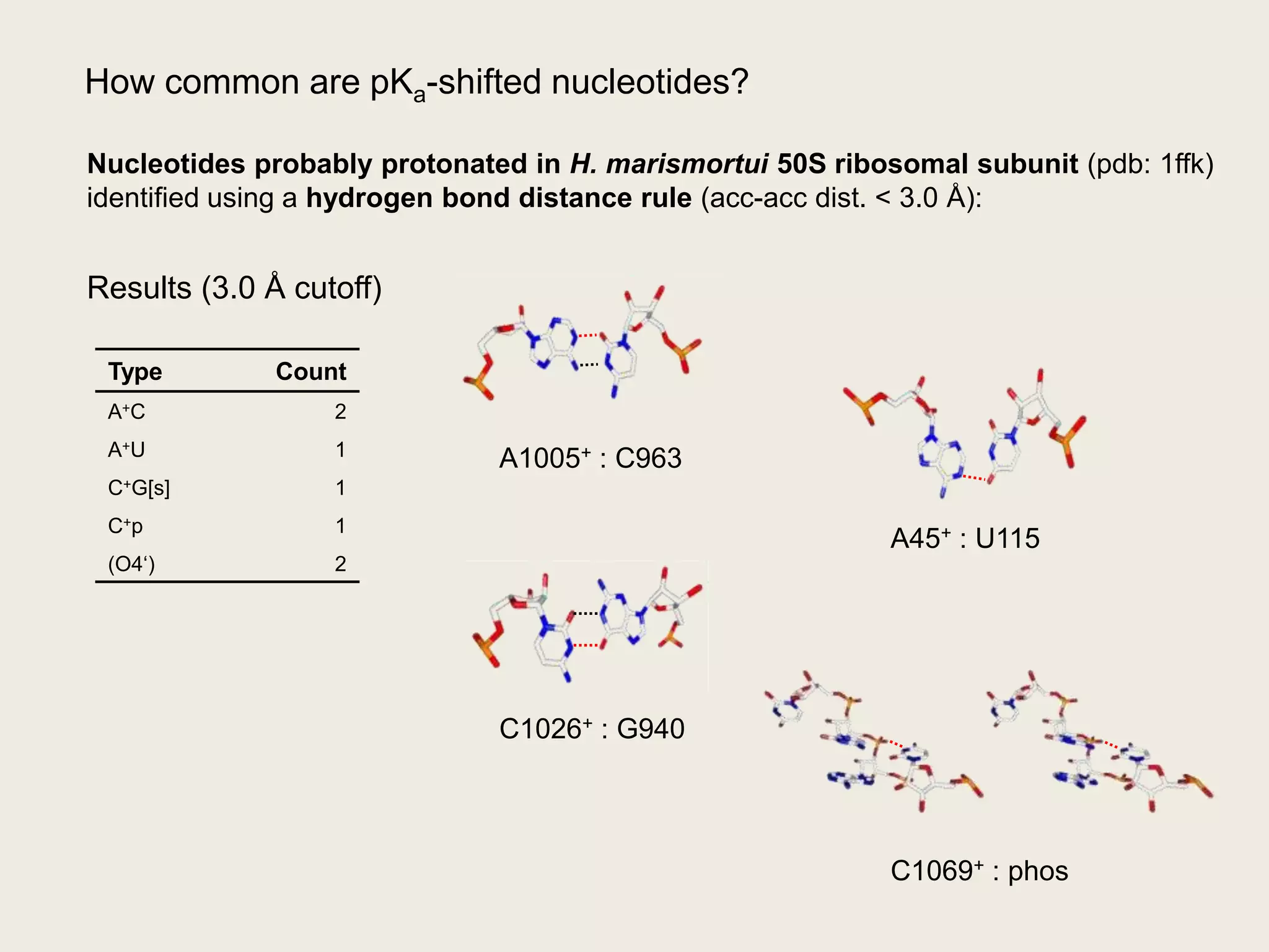 A1005+ : C963A45+ : U115How common are pKa-shifted nucleotides?Nucleotides probably protonated in H. marismortui 50S ribosomal subunit (pdb: 1ffk)identified using a hydrogen bond distance rule (acc-acc dist. &lt; 3.0 Å):Results (3.0 Å cutoff)C1026+ : G940C1069+ : phos