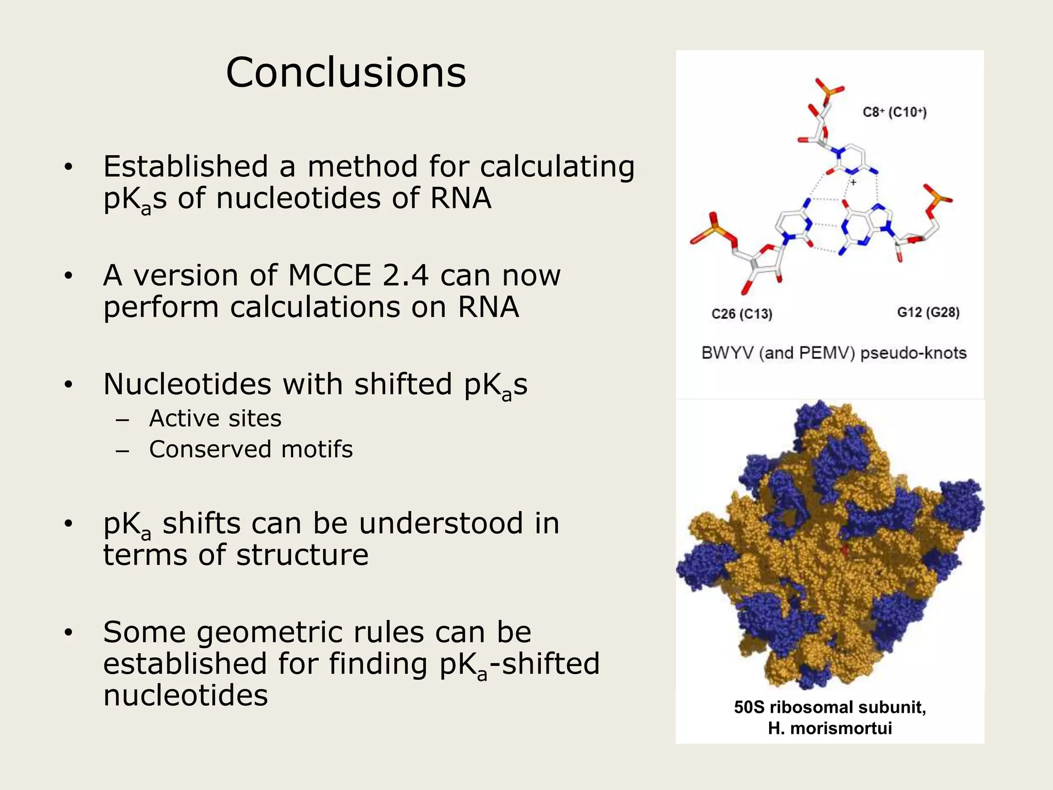 ConclusionsEstablished a method for calculating pKas of nucleotides of RNAA version of MCCE 2.4 can now perform calculations on RNANucleotides with shifted pKasActive sitesConserved motifspKa shifts can be understood in terms of structureSome geometric rules can be established for finding pKa-shifted nucleotides50S ribosomal subunit, H. morismortui