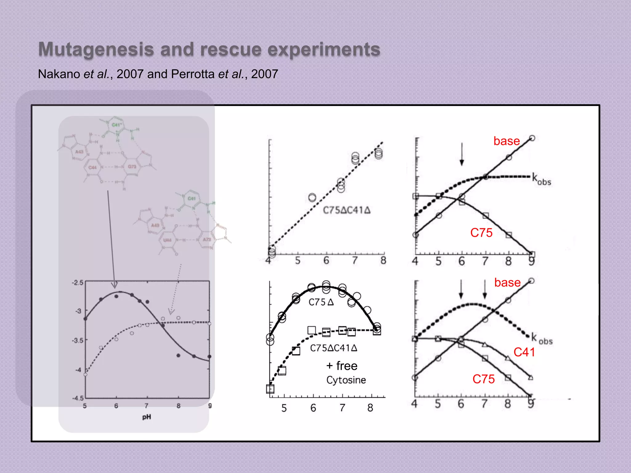 Poisson-Boltzmann equationTwo forms for Function F (j):Linear: suitable for low charge systems like proteins, low saltNonlinear: necessary for high charge systems that require salt