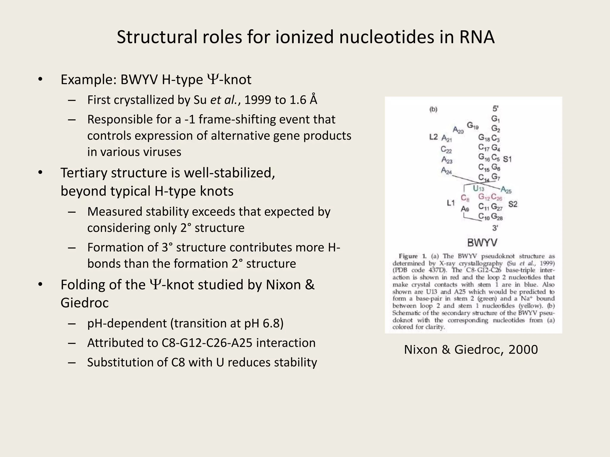 Genome replicates by rolling circle mechanism