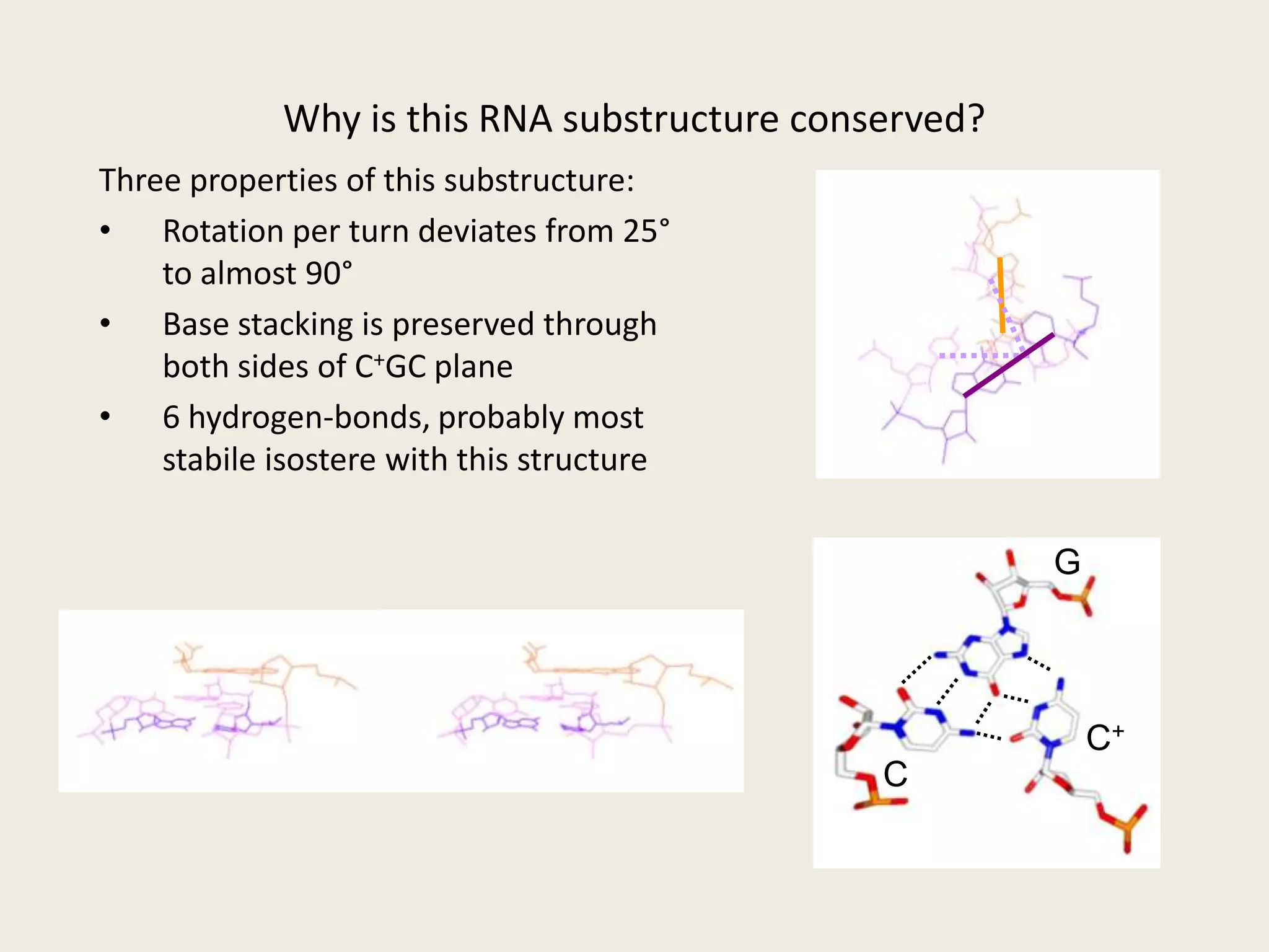 HDV ribozyme