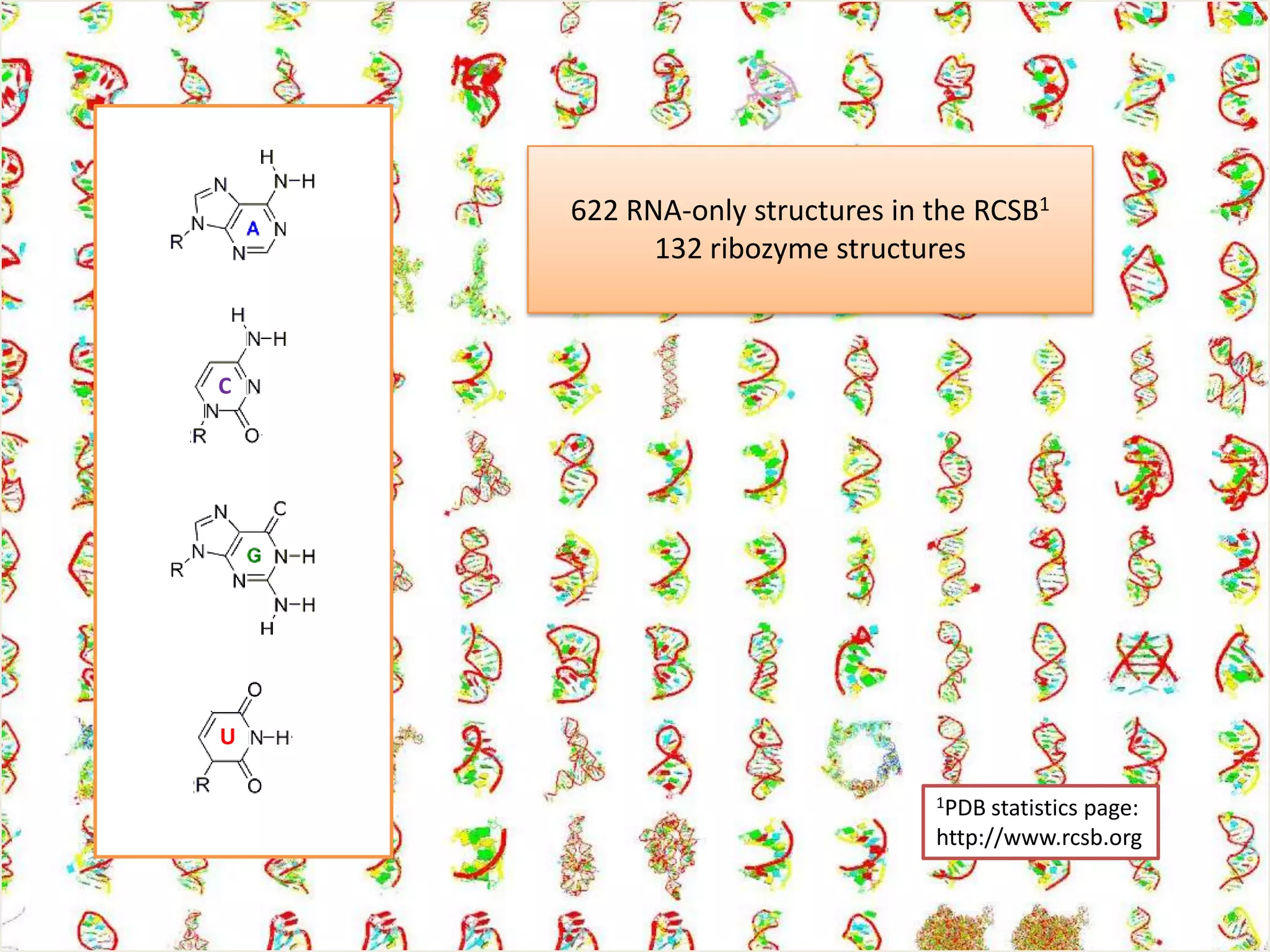 O5’C75G1U20O3’,O1PC22O2PC21pKa calculations identify active site residues**A78A77C75G1(C21,C22)