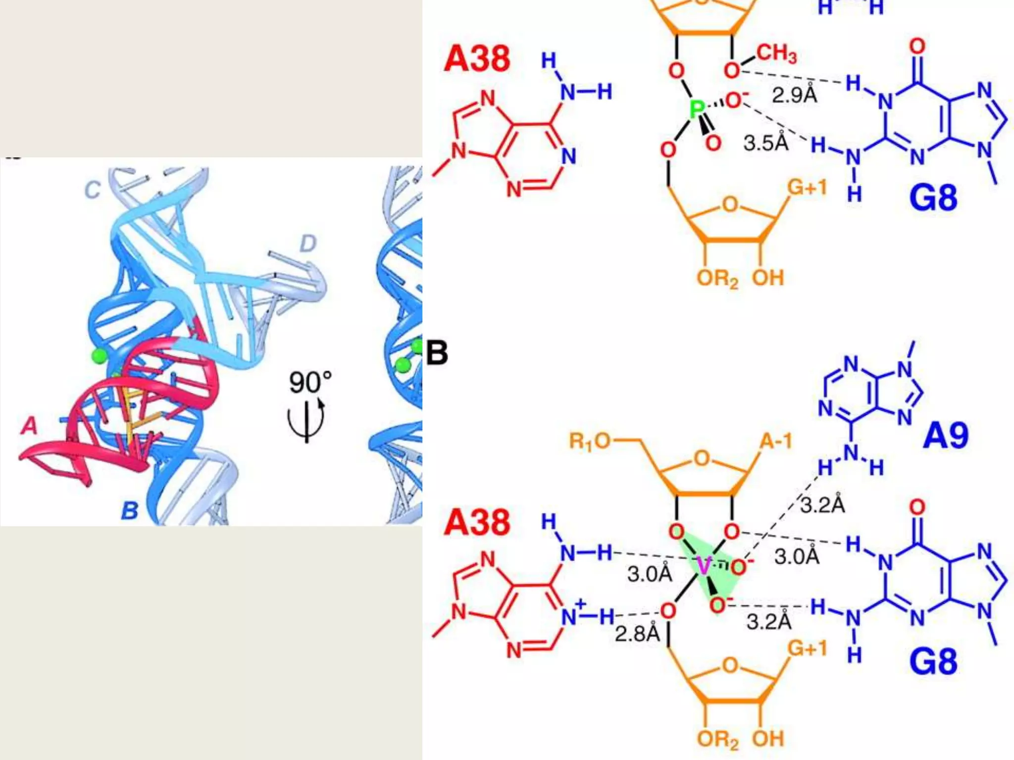 P2A78U-1A77C75J4/2G1C22C21P1.1G39G38C75 is located in the active site of HDVR