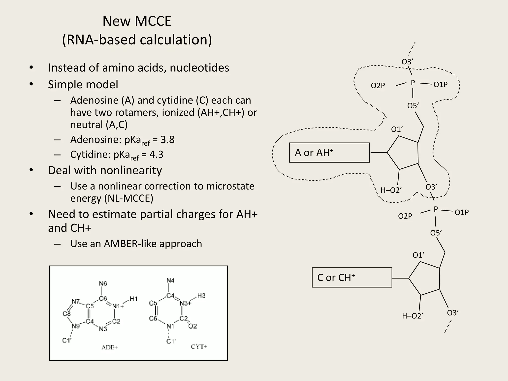 Functional rolesStructural roles2.8 ÅC75↑Hypothetical mechanism for catalysis & product state of HDVR ↑BWYV pseudoknot &HDV ribozyme RNA with same local structure↓Vanadate-stabilized transition/product states of HR obs. at 2.4 Å↓G73C44*A43C41