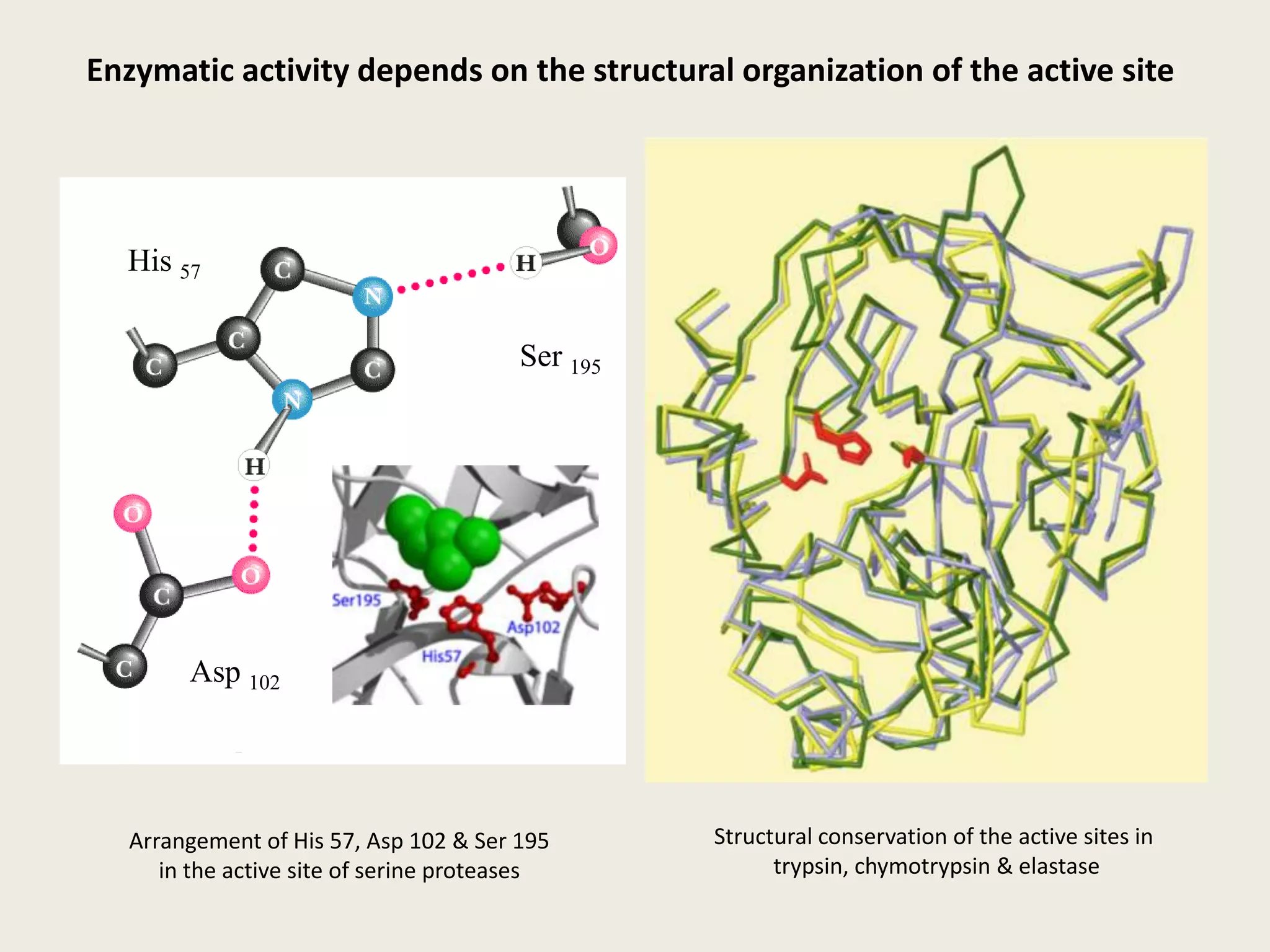 ++LINEAR:  fsalt = k1 * (2q/r)         = k1 * 2 * (q/r)NONLINEAR:  fsalt = k2 * sinh (2q/r) ≠ k2 * 2 * sinh (q/r)