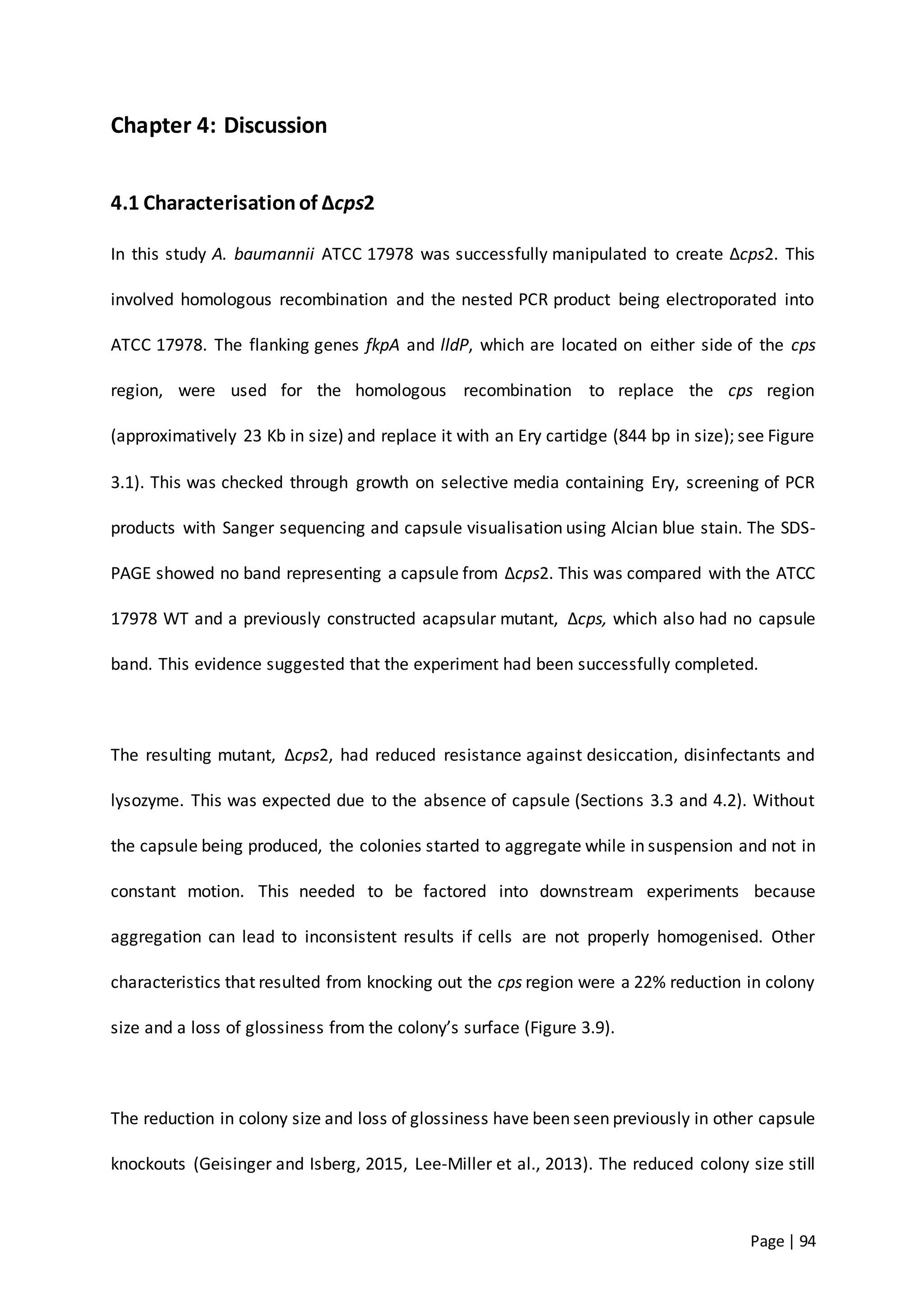 Page | 94
Chapter 4: Discussion
4.1 Characterisationof ∆cps2
In this study A. baumannii ATCC 17978 was successfully manipulated to create ∆cps2. This
involved homologous recombination and the nested PCR product being electroporated into
ATCC 17978. The flanking genes fkpA and lldP, which are located on either side of the cps
region, were used for the homologous recombination to replace the cps region
(approximatively 23 Kb in size) and replace it with an Ery cartidge (844 bp in size); see Figure
3.1). This was checked through growth on selective media containing Ery, screening of PCR
products with Sanger sequencing and capsule visualisation using Alcian blue stain. The SDS-
PAGE showed no band representing a capsule from ∆cps2. This was compared with the ATCC
17978 WT and a previously constructed acapsular mutant, ∆cps, which also had no capsule
band. This evidence suggested that the experiment had been successfully completed.
The resulting mutant, ∆cps2, had reduced resistance against desiccation, disinfectants and
lysozyme. This was expected due to the absence of capsule (Sections 3.3 and 4.2). Without
the capsule being produced, the colonies started to aggregate while in suspension and not in
constant motion. This needed to be factored into downstream experiments because
aggregation can lead to inconsistent results if cells are not properly homogenised. Other
characteristics that resulted from knocking out the cps region were a 22% reduction in colony
size and a loss of glossiness from the colony’s surface (Figure 3.9).
The reduction in colony size and loss of glossiness have been seen previously in other capsule
knockouts (Geisinger and Isberg, 2015, Lee-Miller et al., 2013). The reduced colony size still
 