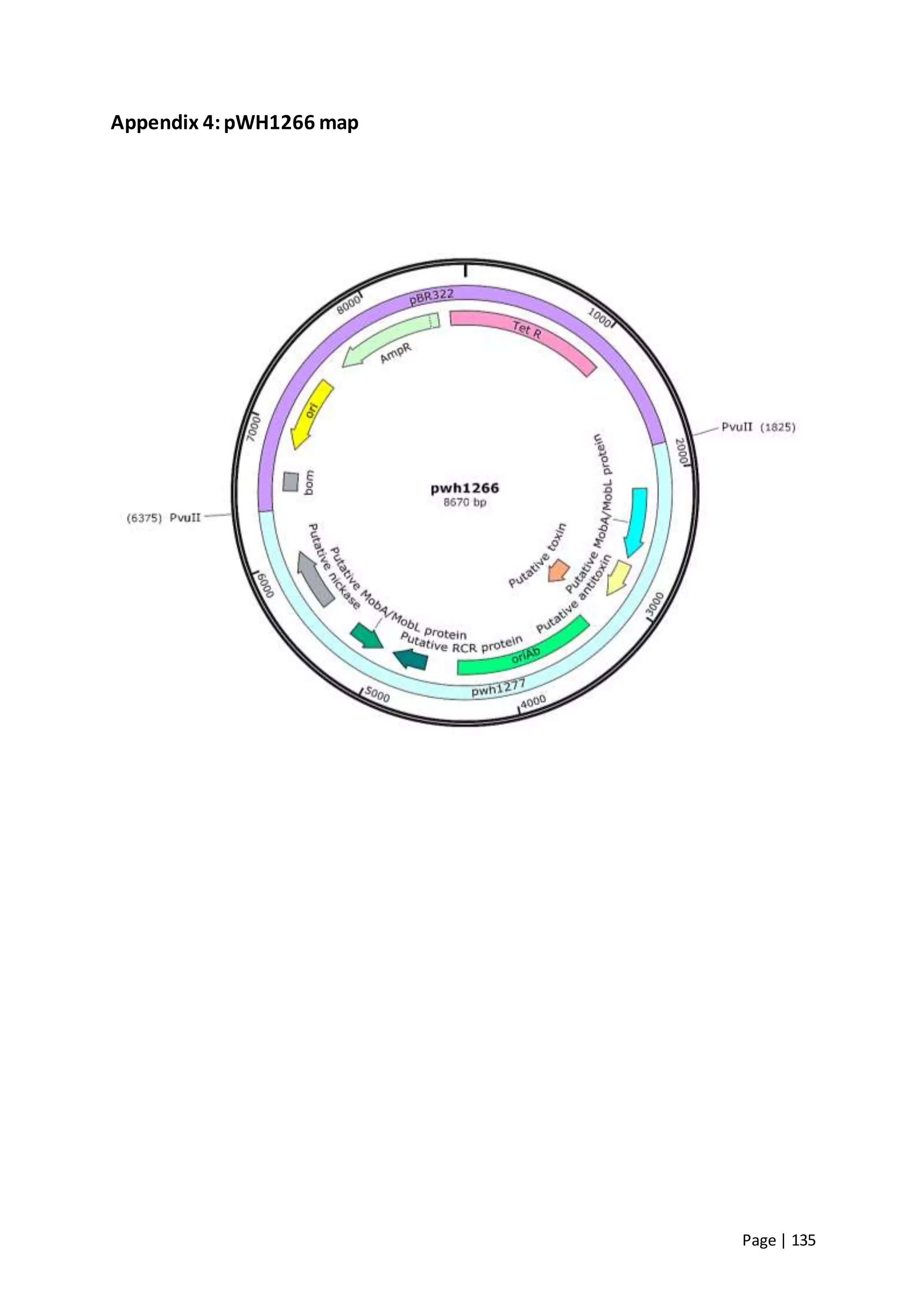 Page | 135
Appendix 4:pWH1266 map
 