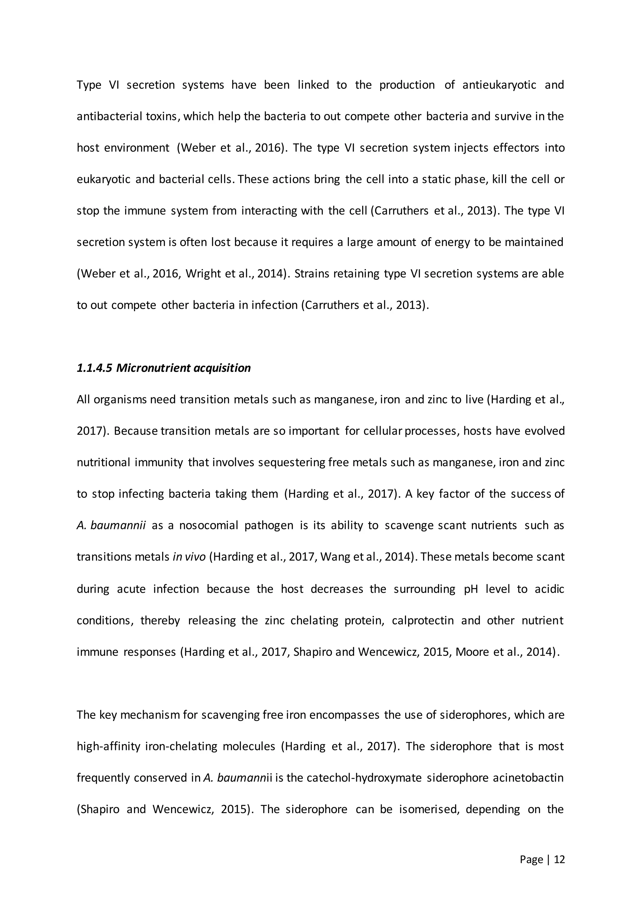 Page | 12
Type VI secretion systems have been linked to the production of antieukaryotic and
antibacterial toxins, which help the bacteria to out compete other bacteria and survive in the
host environment (Weber et al., 2016). The type VI secretion system injects effectors into
eukaryotic and bacterial cells. These actions bring the cell into a static phase, kill the cell or
stop the immune system from interacting with the cell (Carruthers et al., 2013). The type VI
secretion system is often lost because it requires a large amount of energy to be maintained
(Weber et al., 2016, Wright et al., 2014). Strains retaining type VI secretion systems are able
to out compete other bacteria in infection (Carruthers et al., 2013).
1.1.4.5 Micronutrient acquisition
All organisms need transition metals such as manganese, iron and zinc to live (Harding et al.,
2017). Because transition metals are so important for cellular processes, hosts have evolved
nutritional immunity that involves sequestering free metals such as manganese, iron and zinc
to stop infecting bacteria taking them (Harding et al., 2017). A key factor of the success of
A. baumannii as a nosocomial pathogen is its ability to scavenge scant nutrients such as
transitions metals in vivo (Harding et al., 2017, Wang et al., 2014). These metals become scant
during acute infection because the host decreases the surrounding pH level to acidic
conditions, thereby releasing the zinc chelating protein, calprotectin and other nutrient
immune responses (Harding et al., 2017, Shapiro and Wencewicz, 2015, Moore et al., 2014).
The key mechanism for scavenging free iron encompasses the use of siderophores, which are
high-affinity iron-chelating molecules (Harding et al., 2017). The siderophore that is most
frequently conserved in A. baumannii is the catechol-hydroxymate siderophore acinetobactin
(Shapiro and Wencewicz, 2015). The siderophore can be isomerised, depending on the
 